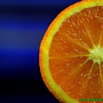 Nalewka  pomarańczowa (...