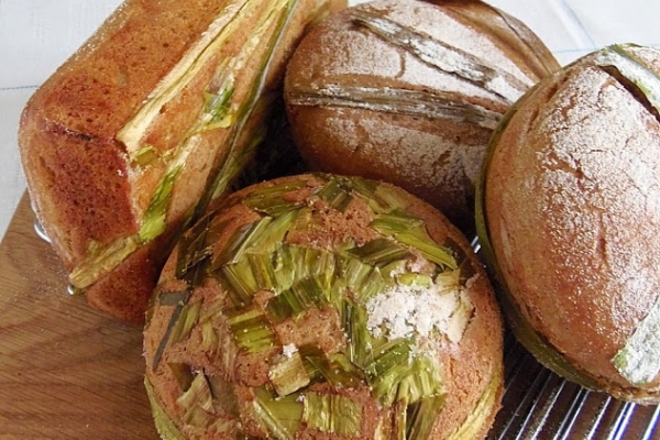 Żytni chleb na liściach tataraku