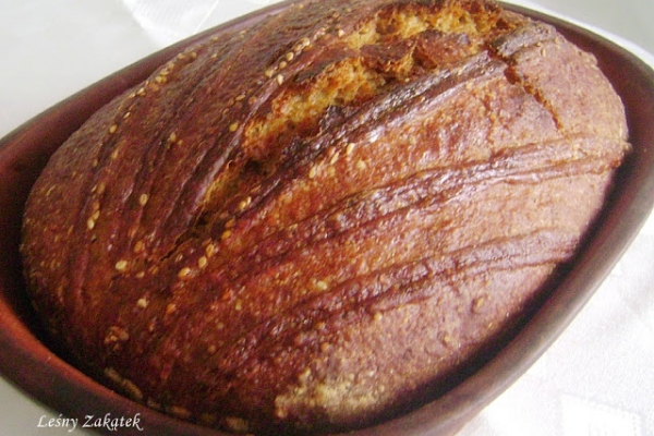 Chleb na suszonym zakwasie z płatkami owsianymi i reaktywacja suszonego zakwasu
