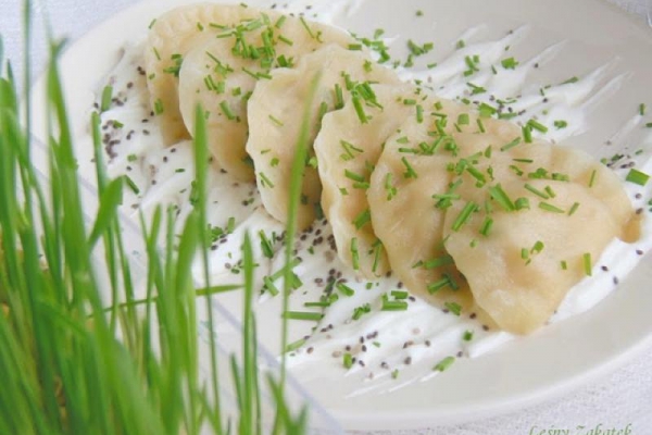 Pierogi z białym serem ziarenkami szałwii hiszpańskiej i zielonym owsem