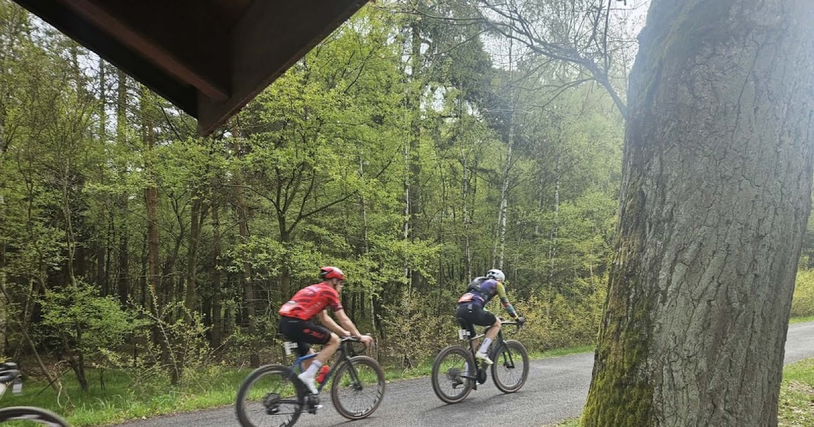 Anzac buiscits i zdalny marsz wosjkowy