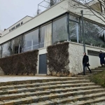 Smažený celer i Brno