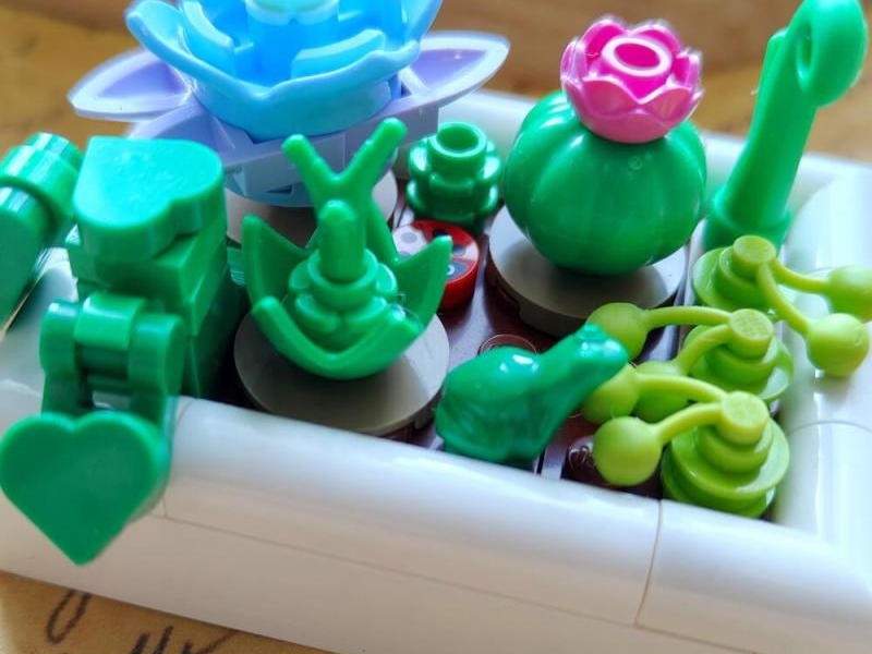 Lego Botanicals. Miniaturowy pustynny ogród – recenzja