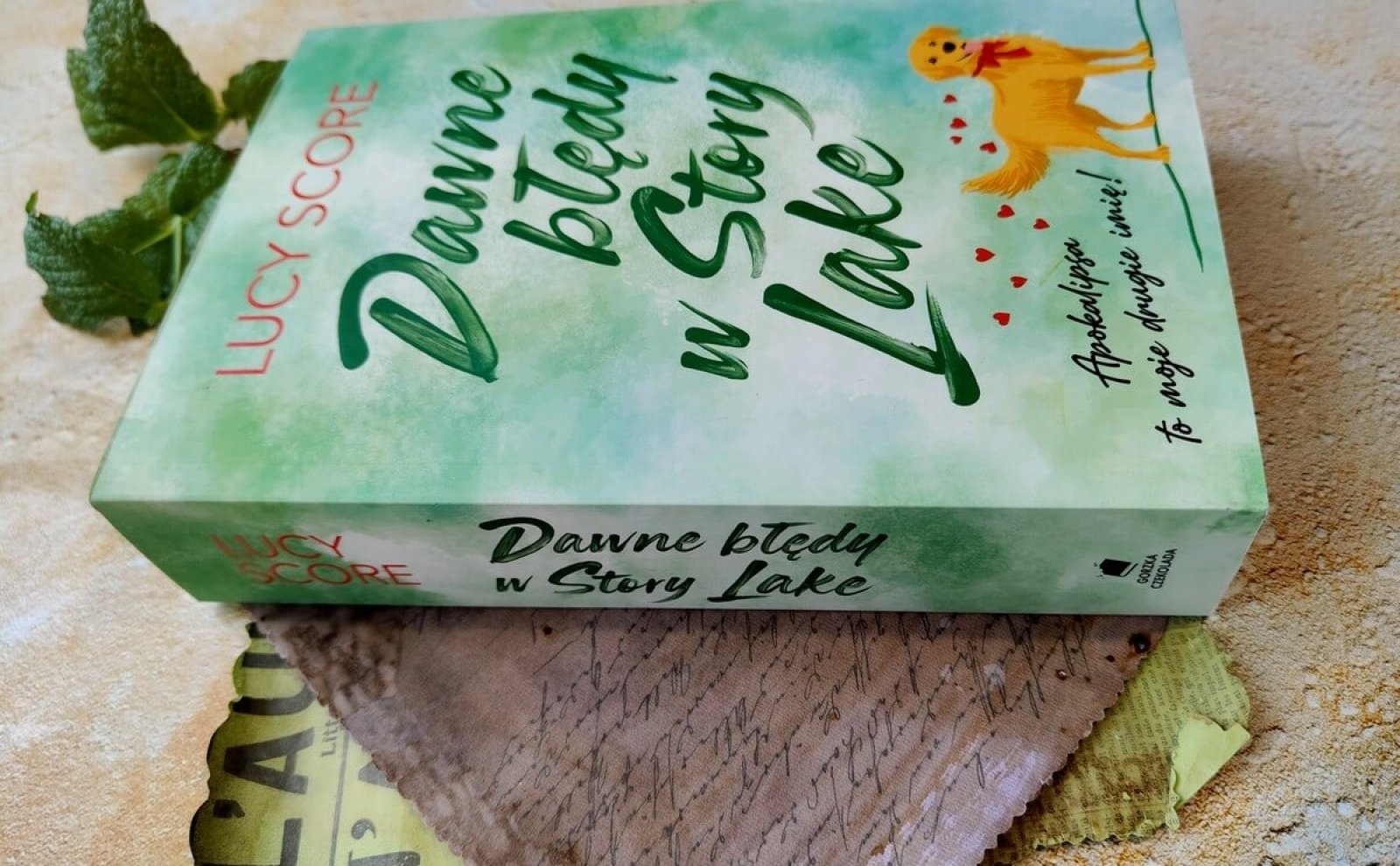 Dawne błędy w Story Lake Lucy Score – recenzja