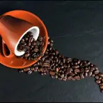 Palarnia kawy –...