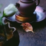 Herbata guayusa –...