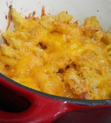 Macaroni and cheese czyli zapiekany makaron z serem