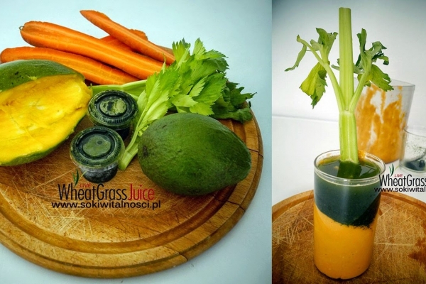 mango + trawa pszeniczna + marchewki + seler naciowy + awokado