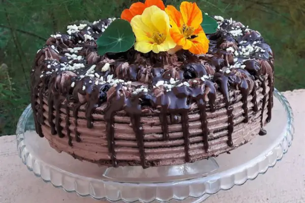 Tort czekoladowy z czarną porzeczką