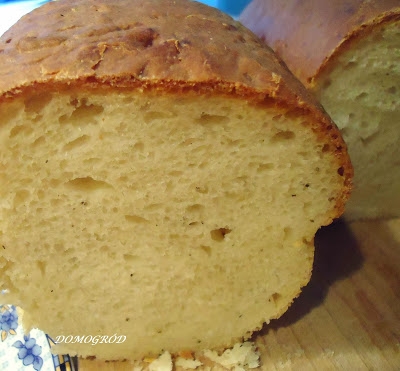 Chleb pszenny na maślance pyszny do kanapek