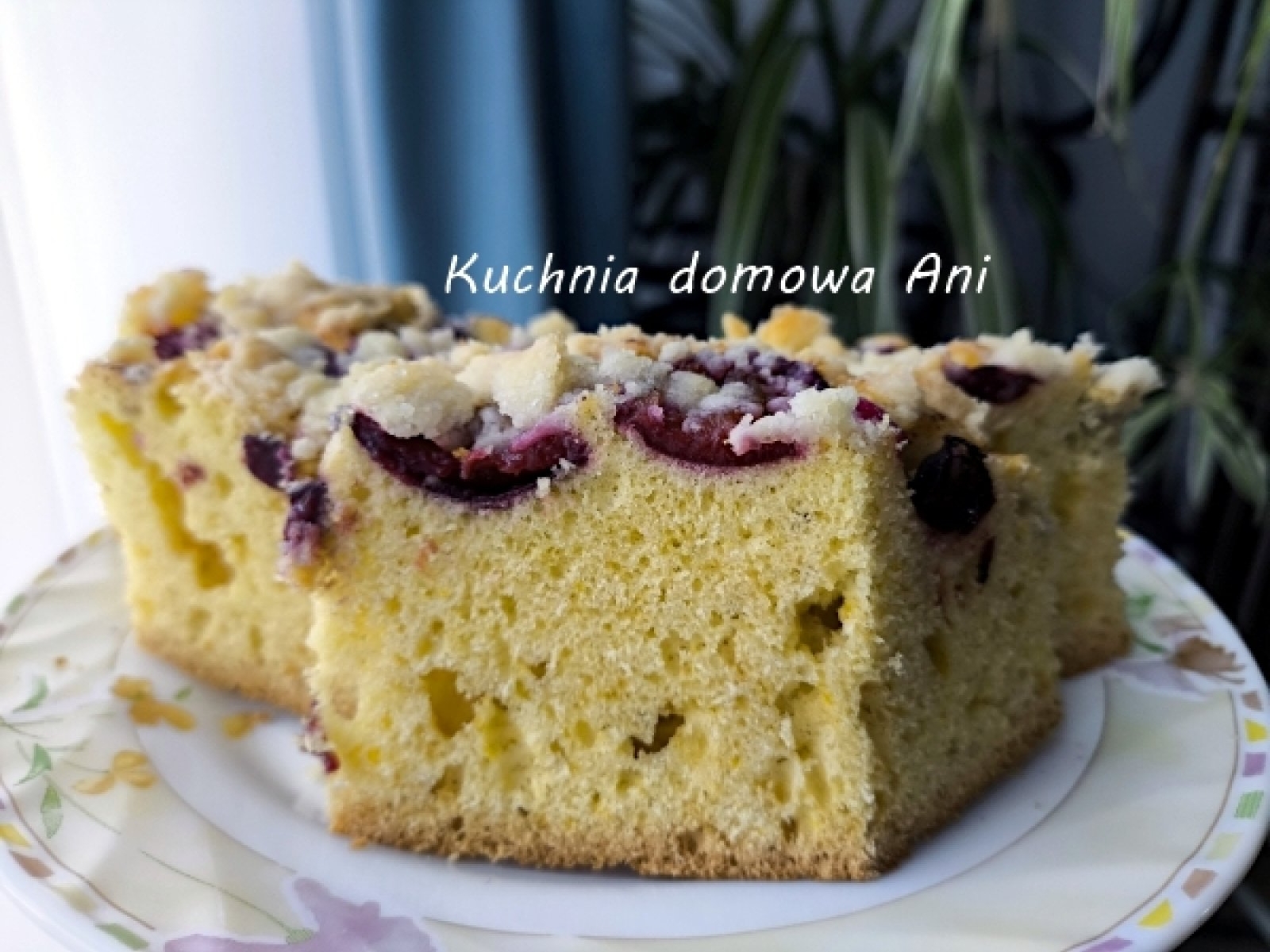 Ciasto budyniowe ze śliwkami