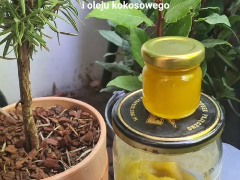 Domowa maść z rozmarynu i liści laurowych na stawy, mięśnie i żylaki