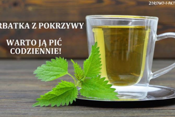 Herbatka z pokrzywy-warto ją pić nawet codziennie