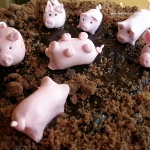 tort ze świnkami