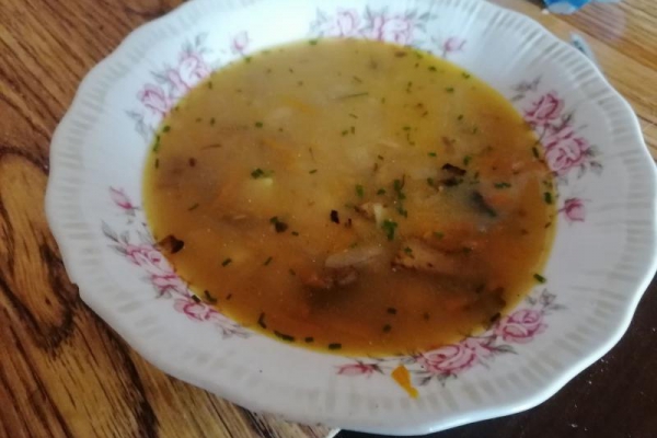 Zupa grzybowa z gniewusów