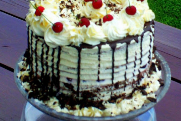TORT Z CZARNOLASU