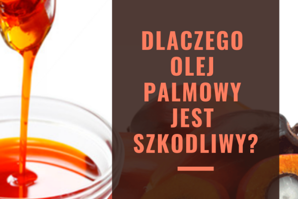 Dlaczego olej palmowy jest szkodliwy?