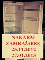 ZAPROSZENIE:  Nakarm Zamrażarkę. 25.11.2012 - 27.01.2013