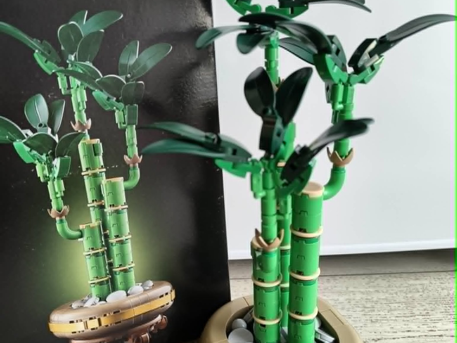 LEGO® Botanicals. Dracena sandera 10344