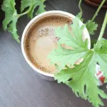 Kawa migdałowa