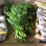 PSTRĄG Z PIEKARNIKA