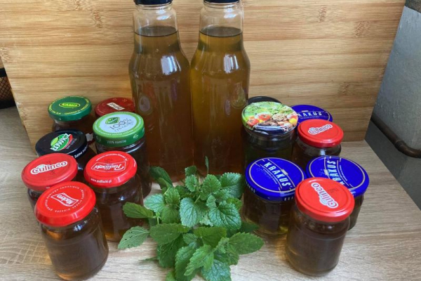 Syrop z melisy