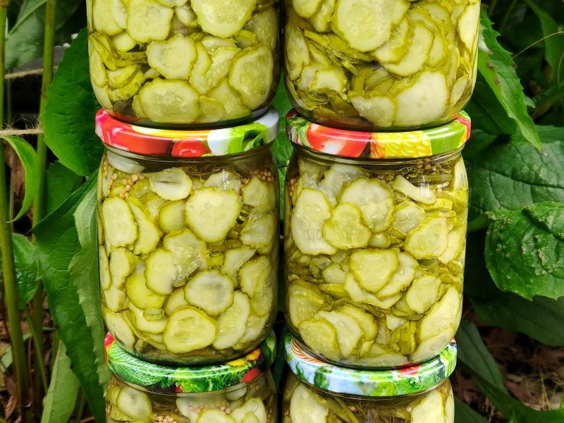 Królewskie ogórki