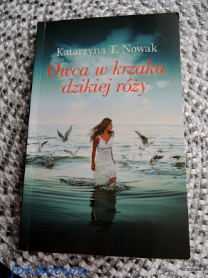Owca w krzaku dzikiej róży  Katarzyna T. Nowak - recenzja książki
