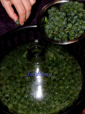 Wino z zielonych winogron i kiwi