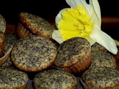 Cytrynowe pieguski czyli mini muffinki z Weekendowej Cukierni #3/2012-kwiecień