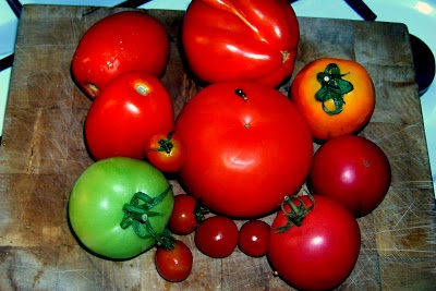Mix pomidorowy