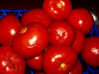 Pomidorowa ze świeżych pomidorów