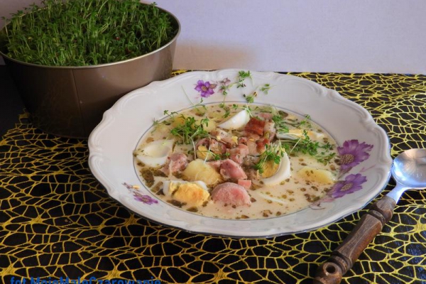 Zupa chrzanowa z rzeżuchą