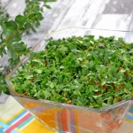 Śledzie z marchewką,...