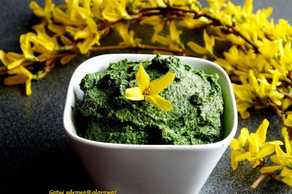 Pesto ze szpinaku i awokado