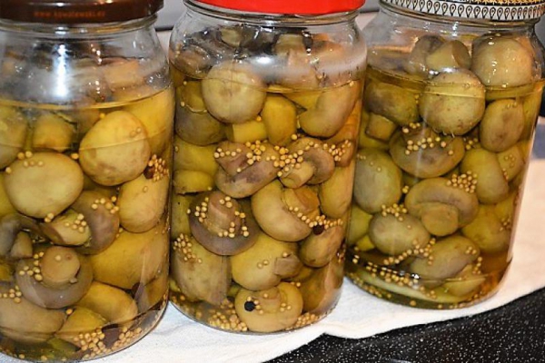 Pieczarki marynowane na zimę