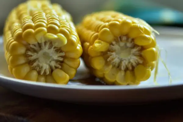 gotowana KUKURYDZA i inne przepisy z kukurydzą