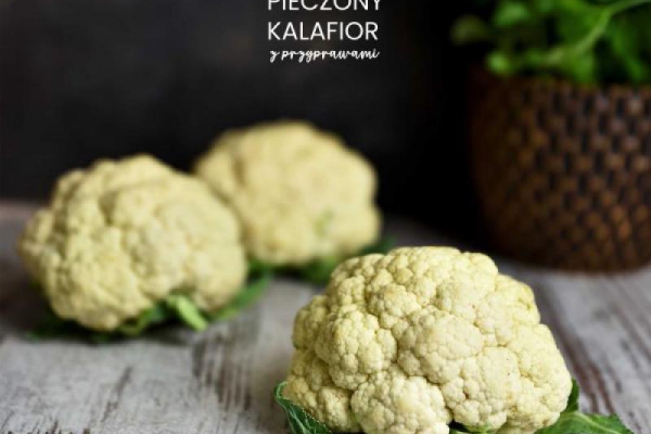 PIECZONY KALAFIOR (z piecyka) Z PRZYPRAWAMI w 3 wersjach