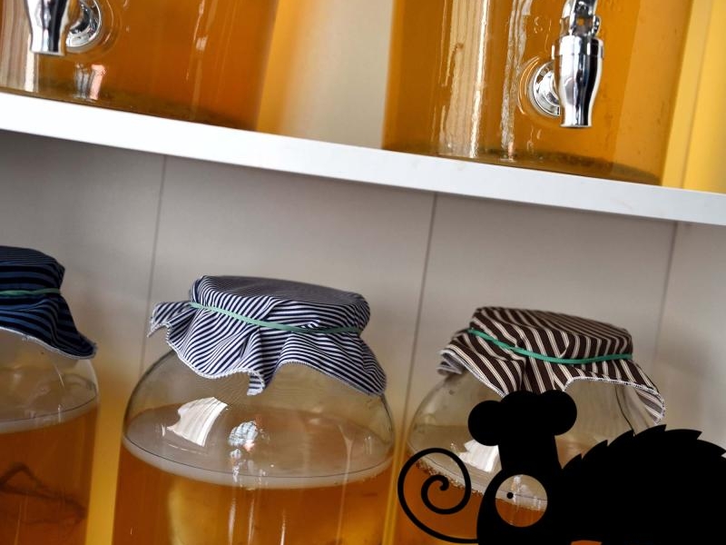 KOMBUCHA I GRZYBEK HERBCIANY – jak może wyglądać słoik z kombuchą