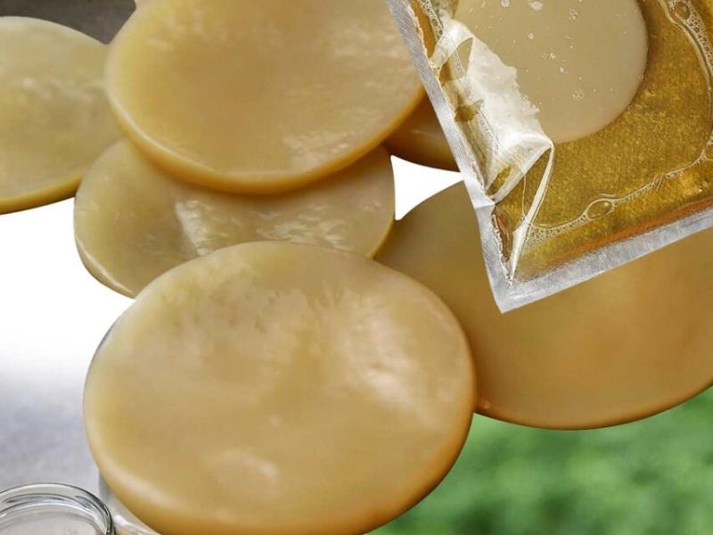 Gdzie kupić grzybka herbacianego scoby?
