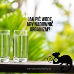 JAK PIĆ WODĘ aby...