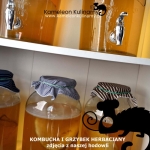 KOMBUCHA I GRZYBEK...