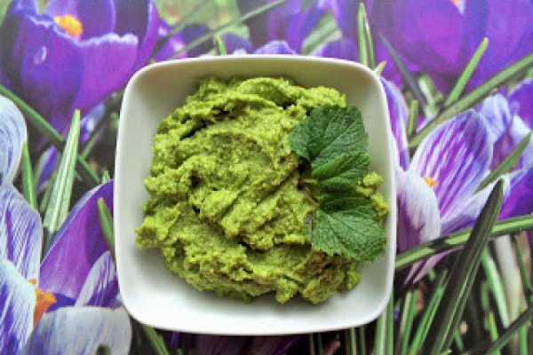 Słonecznikowe pesto z liści rzodkiewek