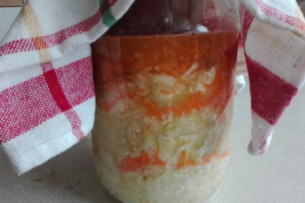 Domowa kiszona kapusta