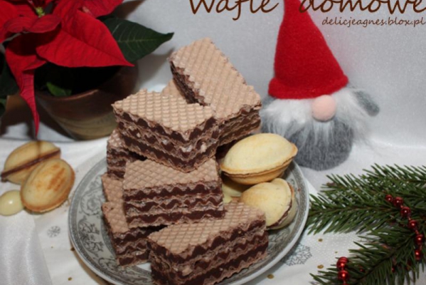 Wafle domowe I (kakaowe)