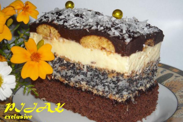 Pijak exclusive