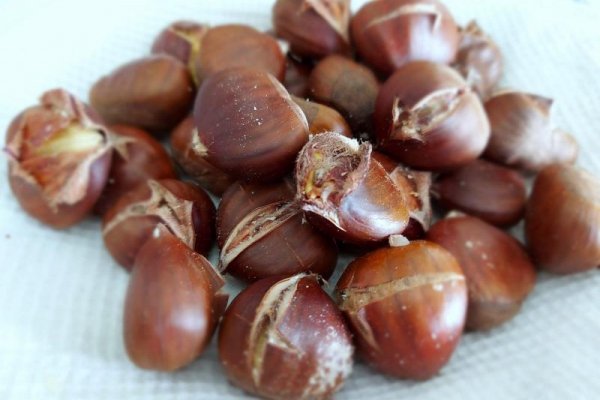 Pieczone kasztany jadalne – przepis