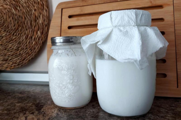 Kefir z grzybków tybetańskich – przepis i właściwości