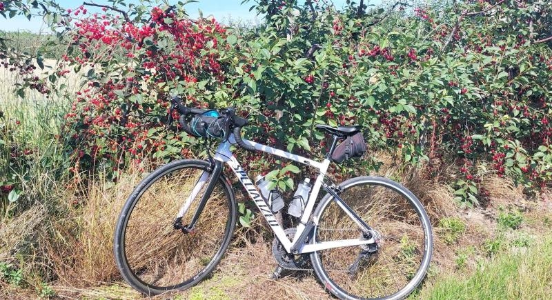 Owocowa Lubelszczyzna