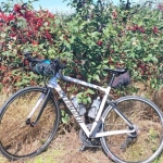 Owocowa Lubelszczyzna